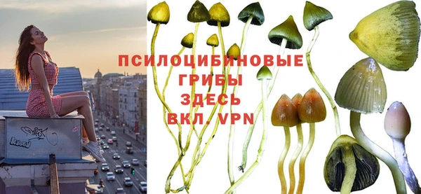 марки nbome Белокуриха