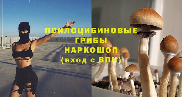 марки nbome Белокуриха