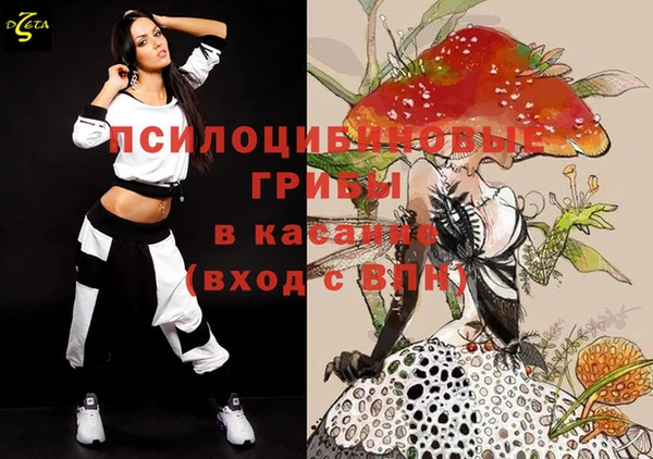apvp Беломорск