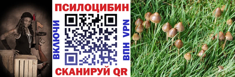 Галлюциногенные грибы Magic Shrooms blacksprut ссылка Костерёво